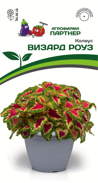 Партнер Колеус ВИЗАРД РОУЗ / шлемниковидный ^(10шт) 2-ной пак, изображение 0