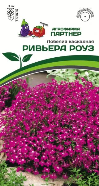 Партнер Лобелия каскадная РИВЬЕРА РОУЗ ^(10шт в амп), изображение 0